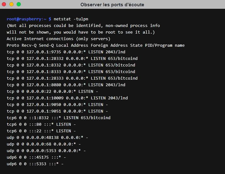 Faire tourner un nœud Bitcoin et Lightning avec TOR