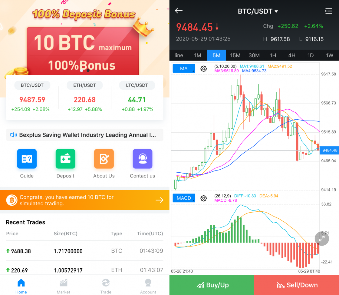 GrayScale Bought and Holds $3.37 Billion BTC – Ready for Bull Market?