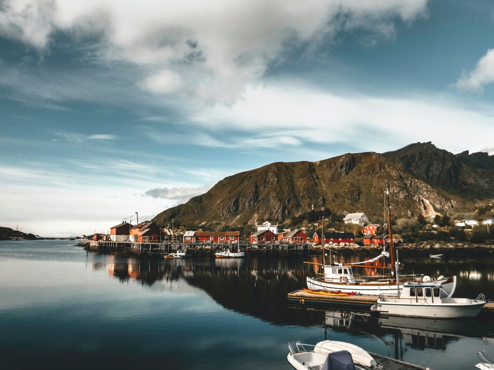 Norwegen: 20 % der Fische sind im Regal falsch etikettiert. Bringt Blockchain Transparenz?