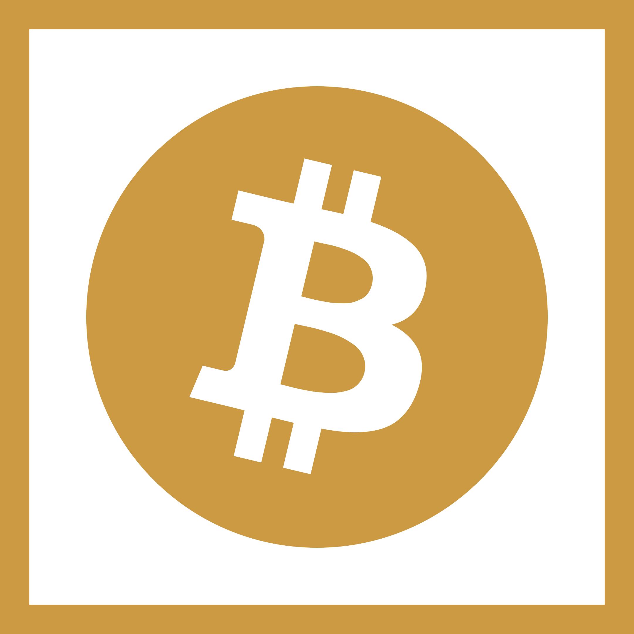 Bitcoin-Dossier im «Schweizer Monat»