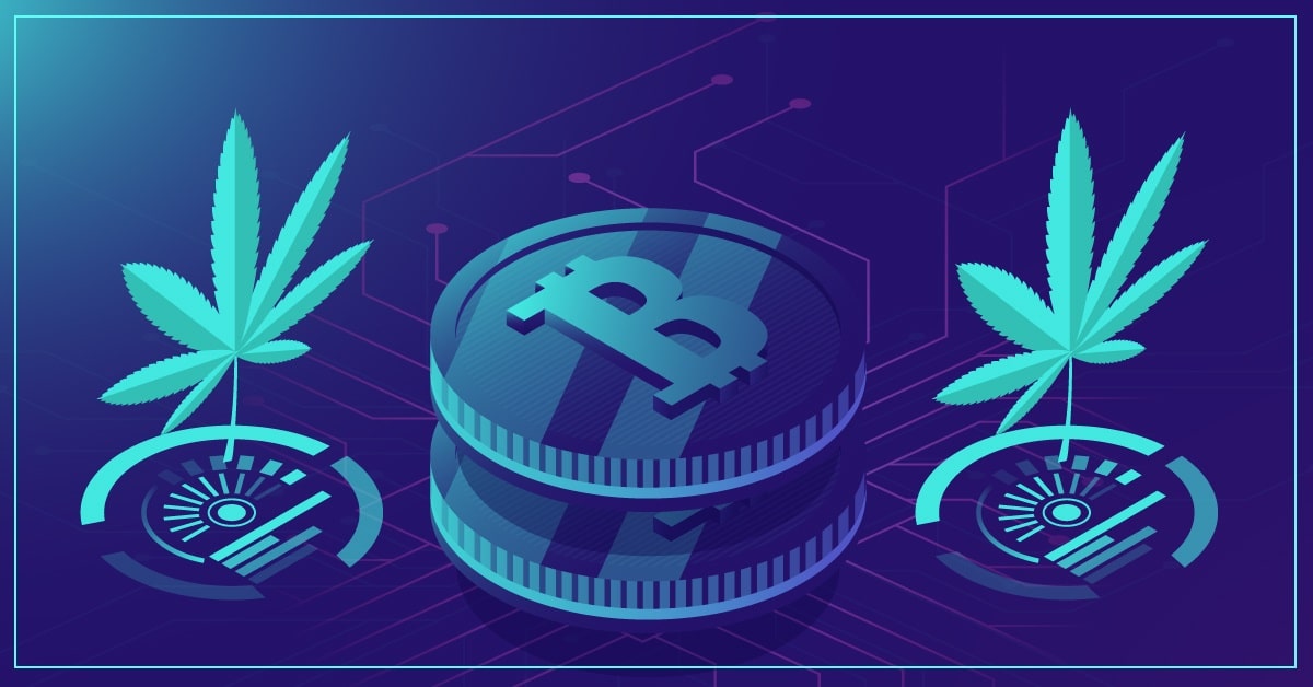 New Redeemable Cryptocurrency Cana Token Launches, Backed by Cannabis Seeds