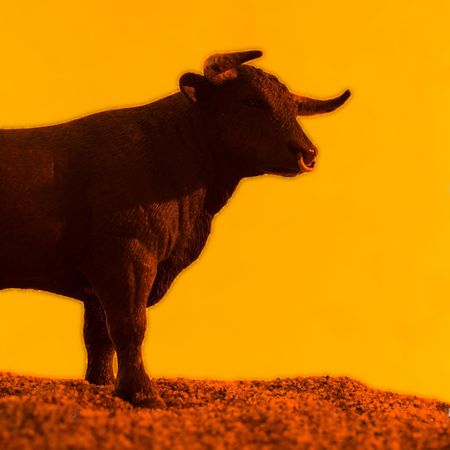 E-Meetup : Analyse du bull market (marché haussier) par Mathieu Jamar