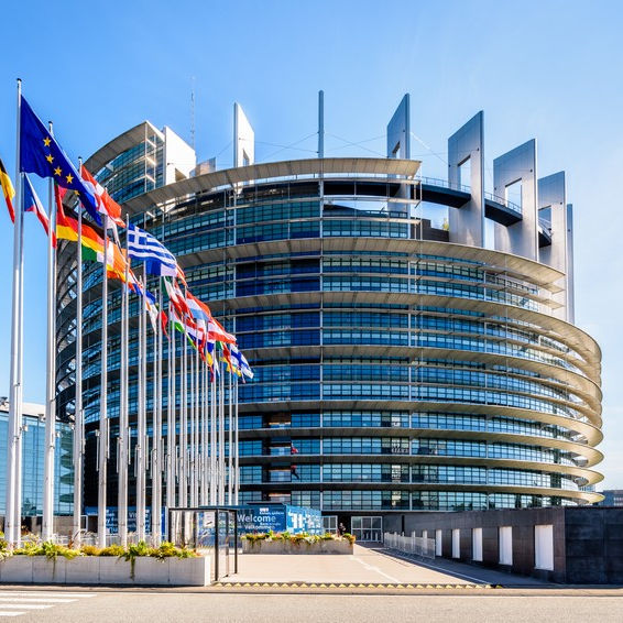 L’ECON pose une chape de plomb sur les plateformes régulées en Europe