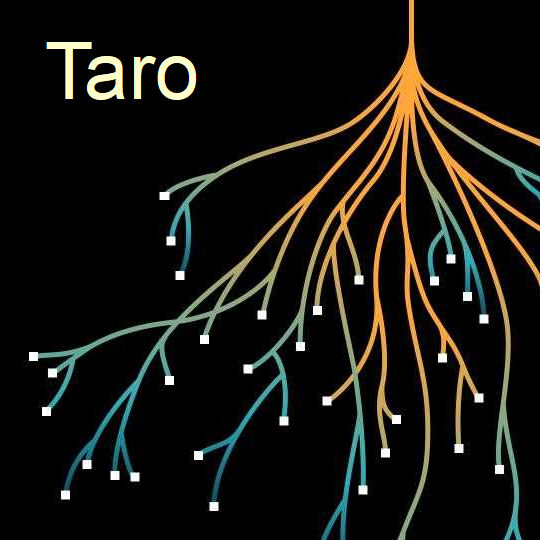Taro : Des stablecoins sur le Lightning Network