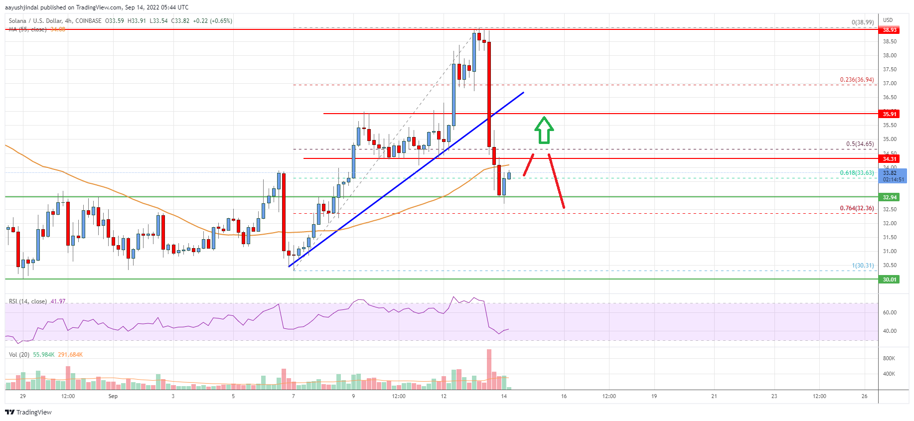 Solana (SOL) Price Analysis: Bears Are Back, Can This Support Hold?