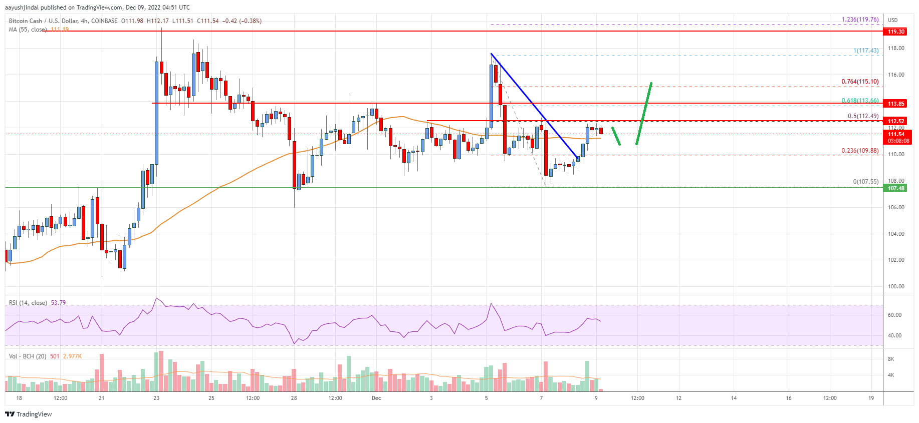 Bitcoin Cash Analysis: Fresh Increase Possible Above This Resistance