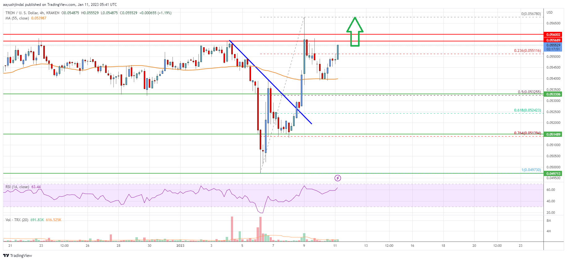 Tron (TRX) Price Analysis: More Gains Possible Above $0.055
