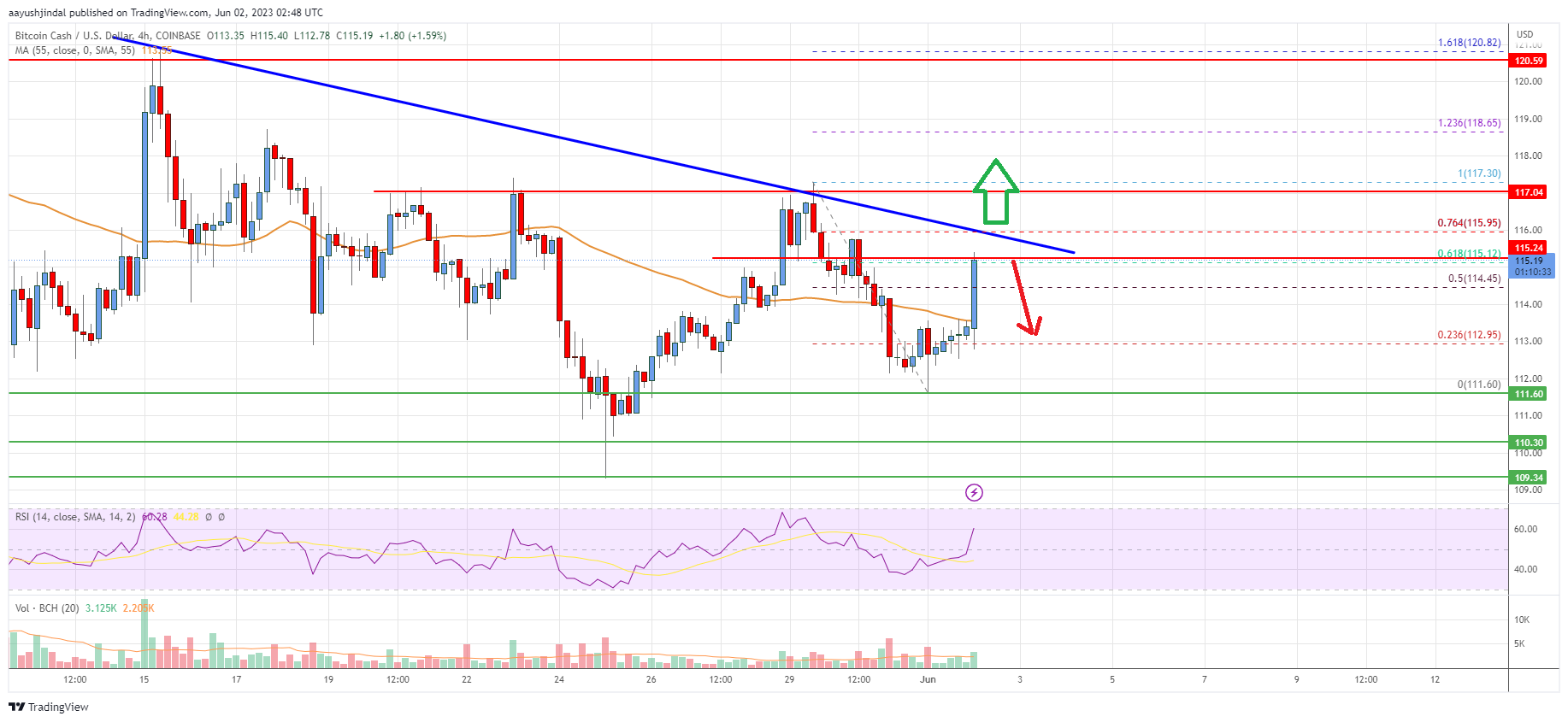 Bitcoin Cash Analysis: Key Breakout Resistance Sits At $118
