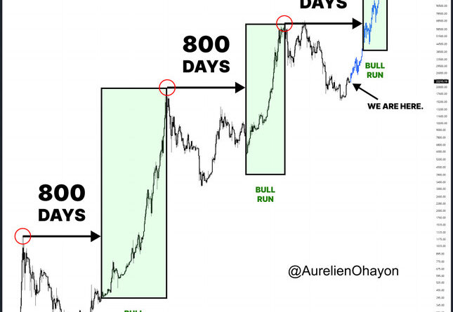 Bitcoin-Preis: Alle 800 Tage Allzeithoch?