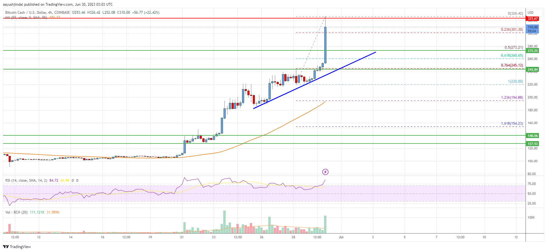 Bitcoin Cash Analysis: Rally Gains Pace Above $300