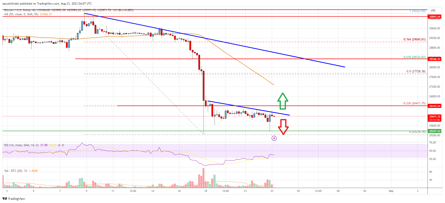 Bitcoin Price Analysis: BTC Could Extend Losses Below $25K