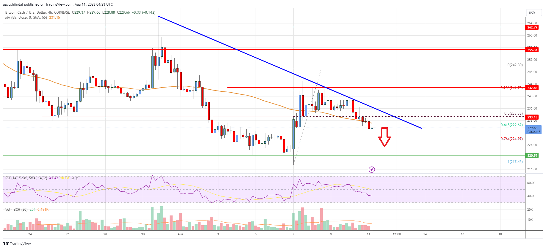 Bitcoin Cash Analysis: Bears In Charge Below $250