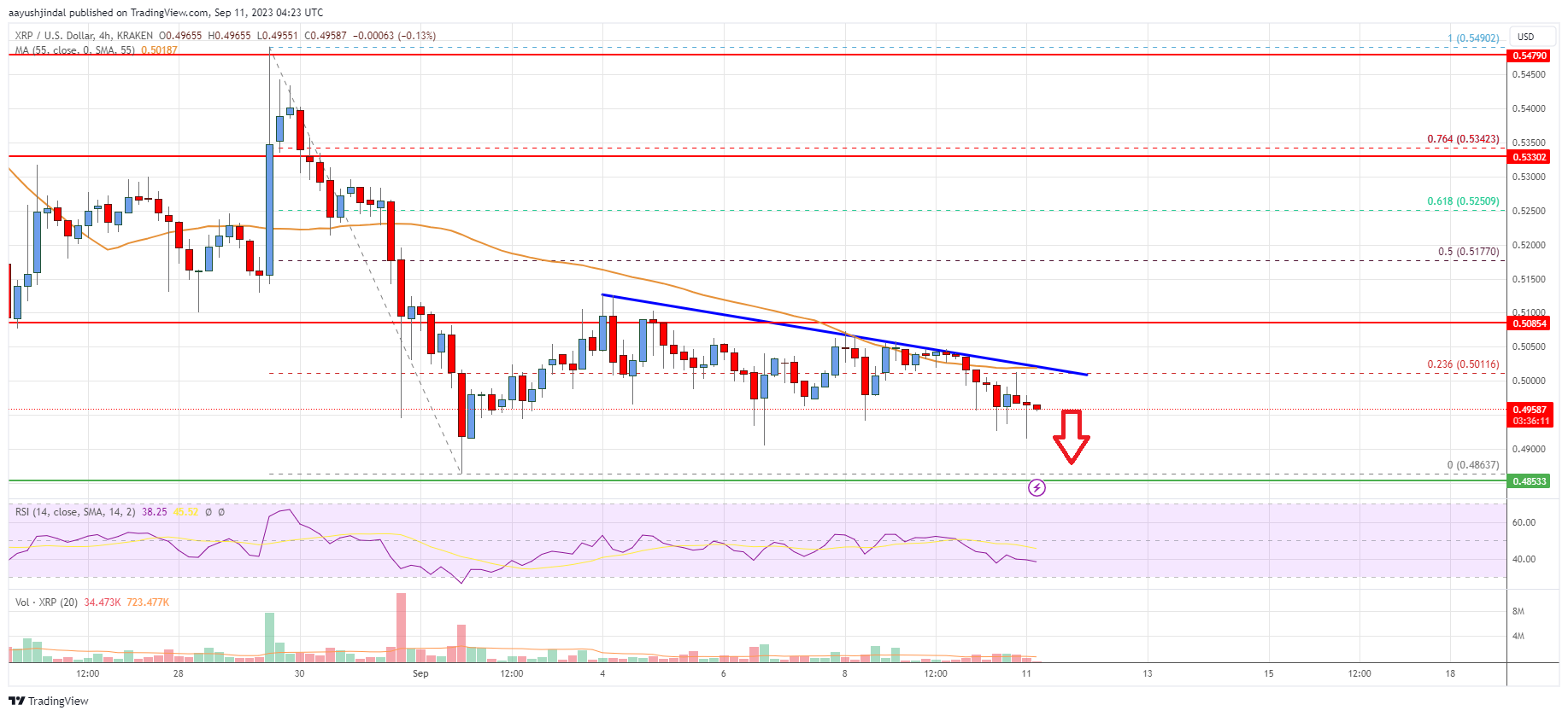 Ripple Price Analysis: Bulls Could Take Hit Below $0.486