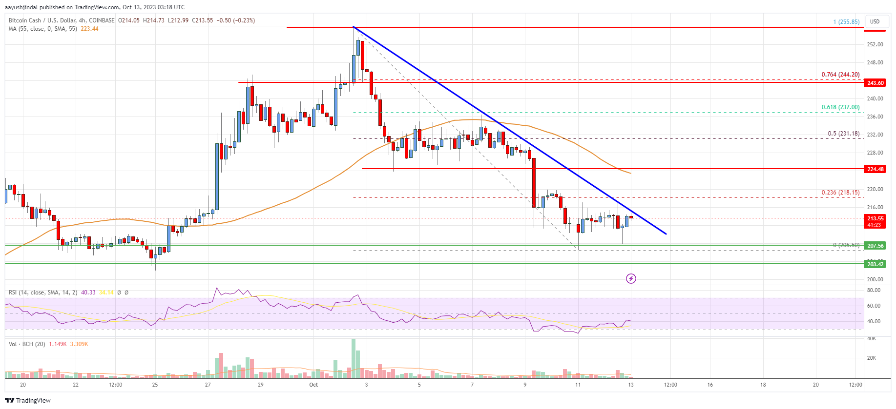 Bitcoin Cash Analysis: Bulls Protect Key Support But Upsides Limited