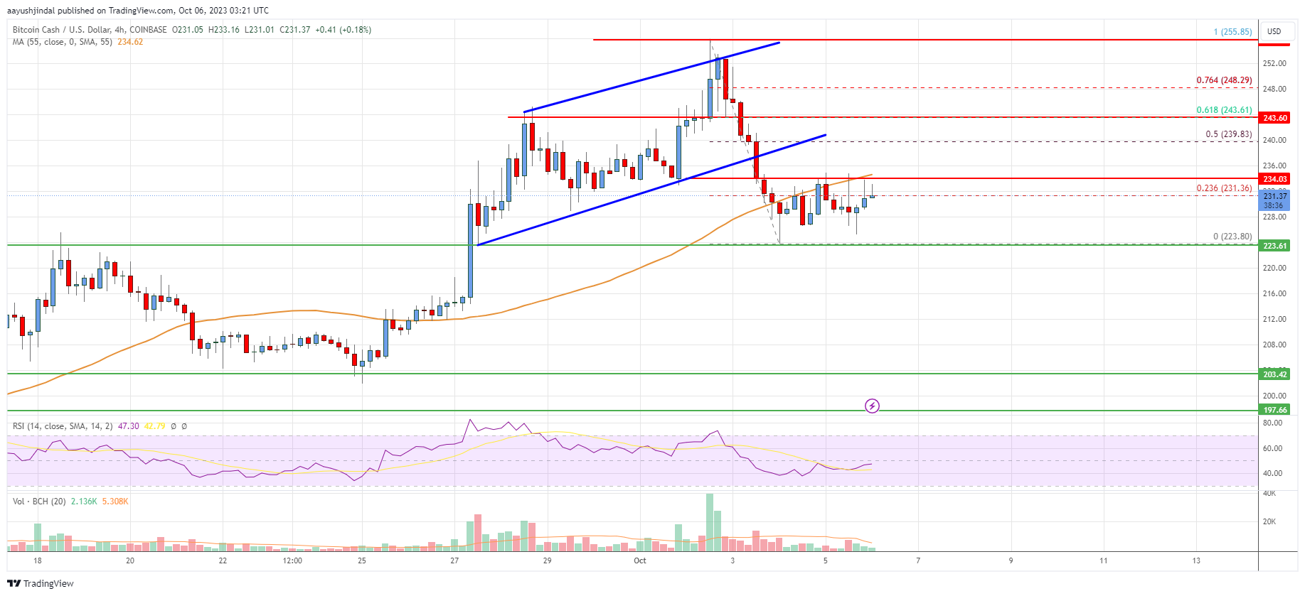 Bitcoin Cash Analysis: Recovery Could Be Capped Near $242